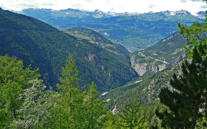 040-P1040888