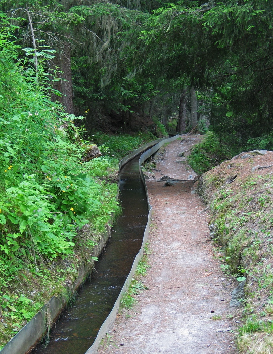 106-IMG_4684