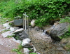 107-IMG_4685