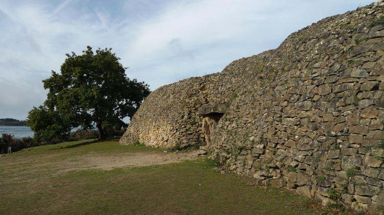 098-P1010581