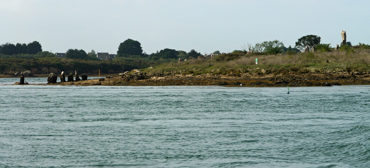 099-P1010585