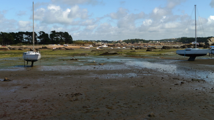 104-P1010599