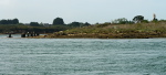 099-P1010585