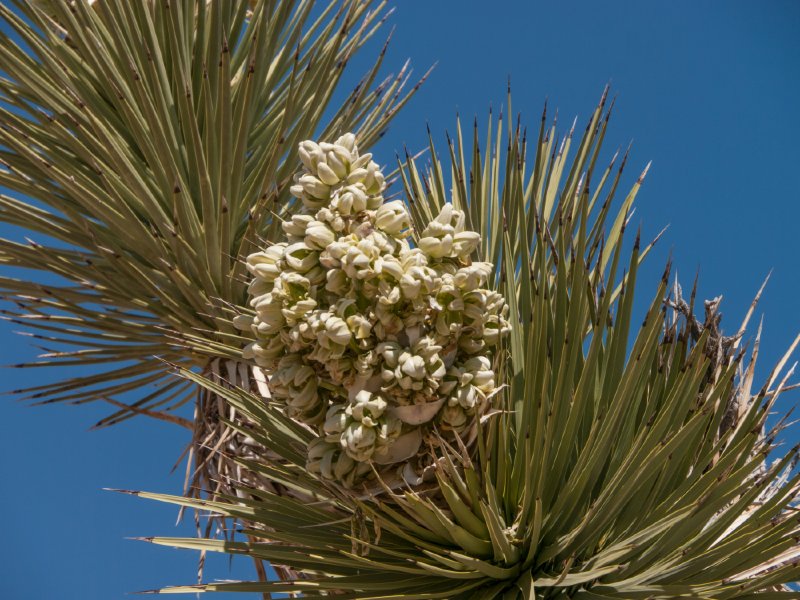 013-P1090621