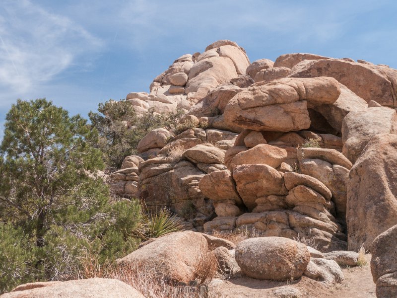 019-P1090633