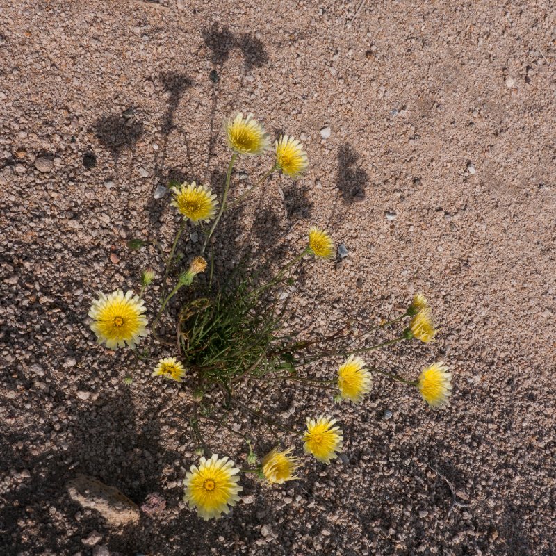 029-P1090652
