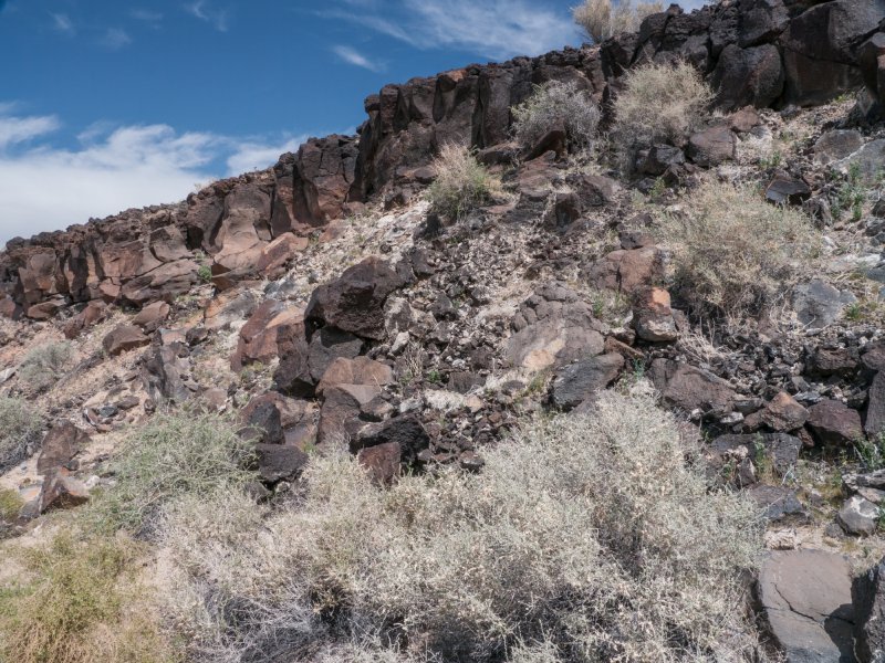046-P1090683