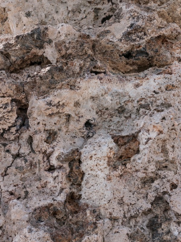 109-P1090778