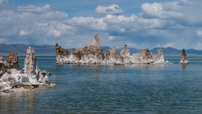 115-P1090784