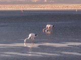 106_1020112.jpg