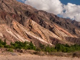 383_1110750.jpg
