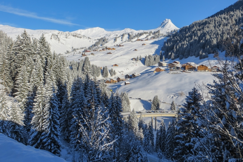45-IMG_0359