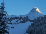 12-IMG_0324.jpg
