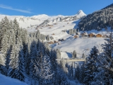 45-IMG_0359.jpg