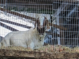 56-IMG_0378.jpg