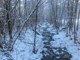 60-IMG_0390.jpg