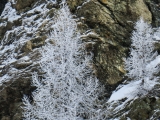 08-IMG_0098.jpg