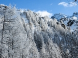 09-IMG_0101.jpg