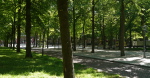 31-P1010068