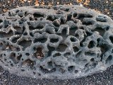 037_1110876.jpg