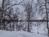 123_1150404.jpg