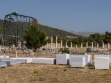 247_1140412.jpg