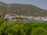 259_1140436.jpg