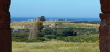 120_P1040603