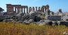121_P1040605