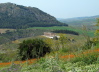 94_IMG_3959